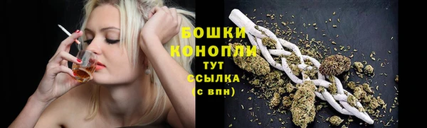ГАЛЛЮЦИНОГЕННЫЕ ГРИБЫ Гусиноозёрск