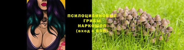 альфа пвп Гусь-Хрустальный