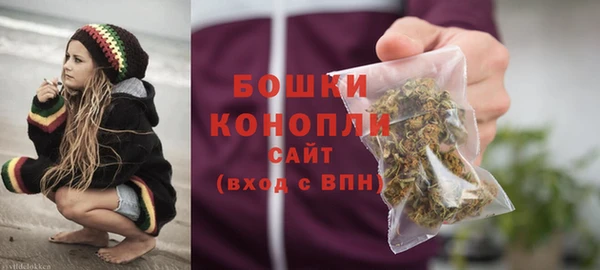 ГАЛЛЮЦИНОГЕННЫЕ ГРИБЫ Гусиноозёрск
