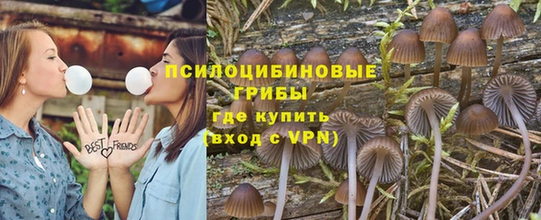 не бодяженный Дмитровск