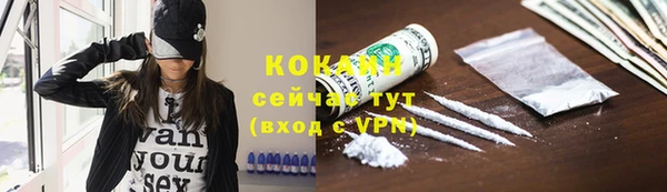ГАЛЛЮЦИНОГЕННЫЕ ГРИБЫ Гусиноозёрск