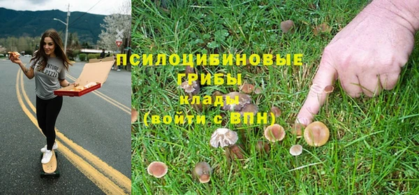 альфа пвп Гусь-Хрустальный