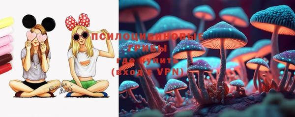 СК Гусев