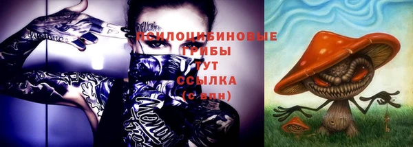 ECSTASY Дмитриев