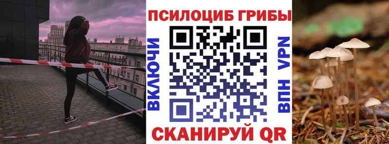 Псилоцибиновые грибы MAGIC MUSHROOMS Купить где Кедровый