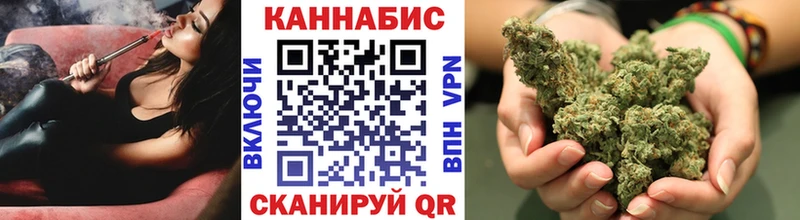 Конопля MAZAR  Купить  Кедровый 